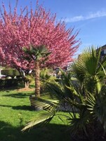 Jardines del alojamiento