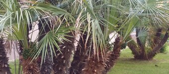 Ecolodge Coppola Guesthouse