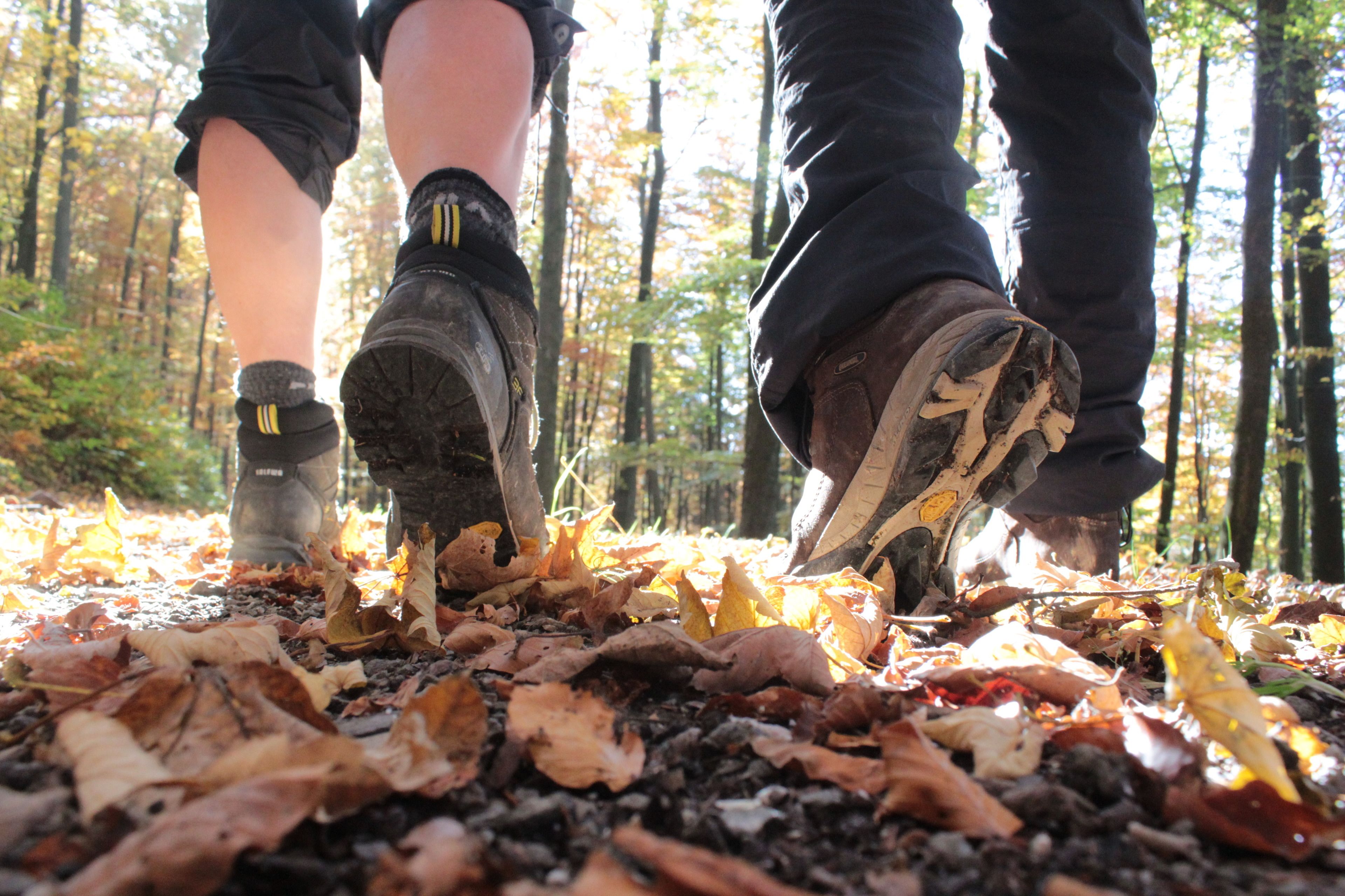 A forest floor covered with fallen leaves and a person's hiking boots.