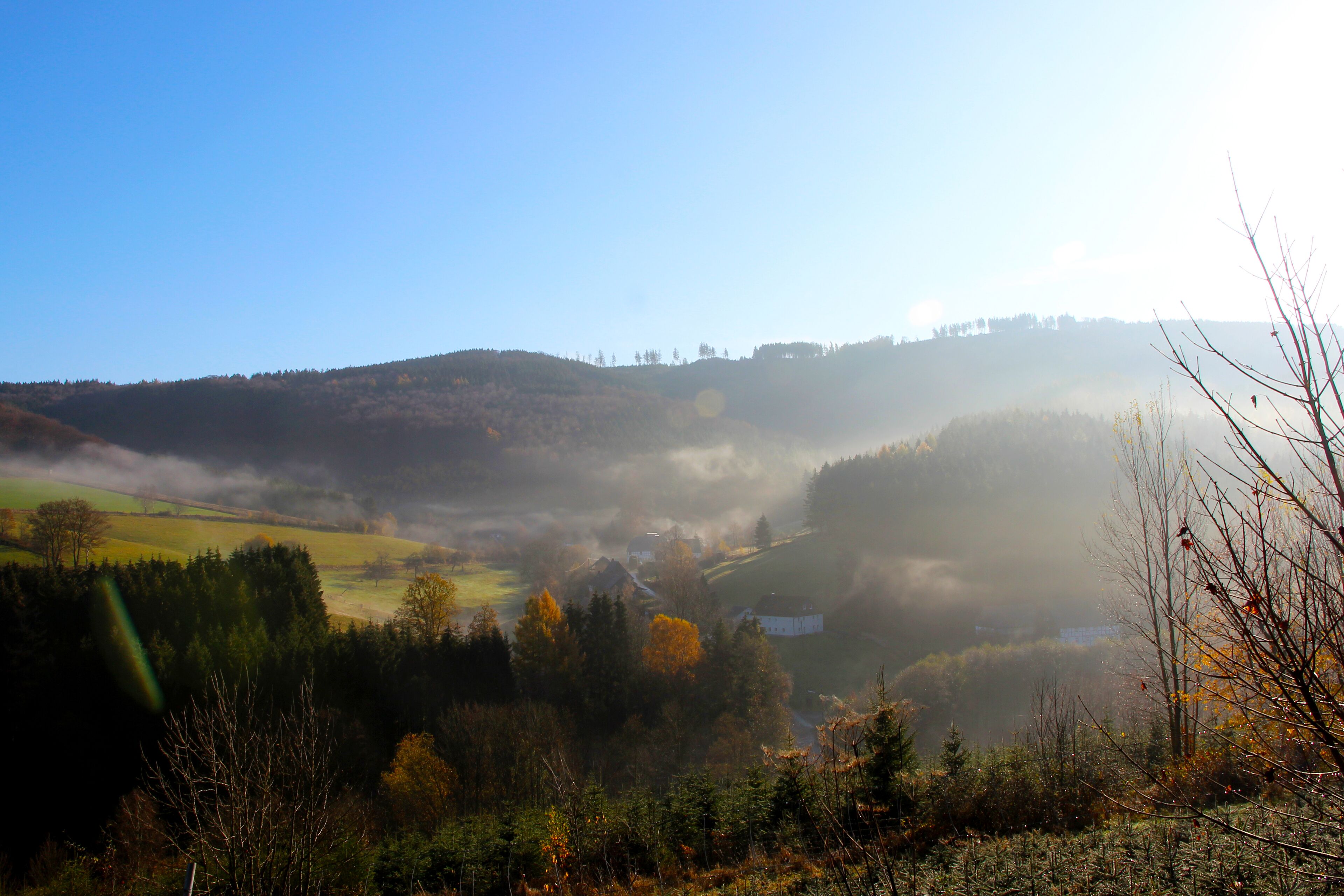 Paisaje con colinas, árboles y una atmósfera brumosa.