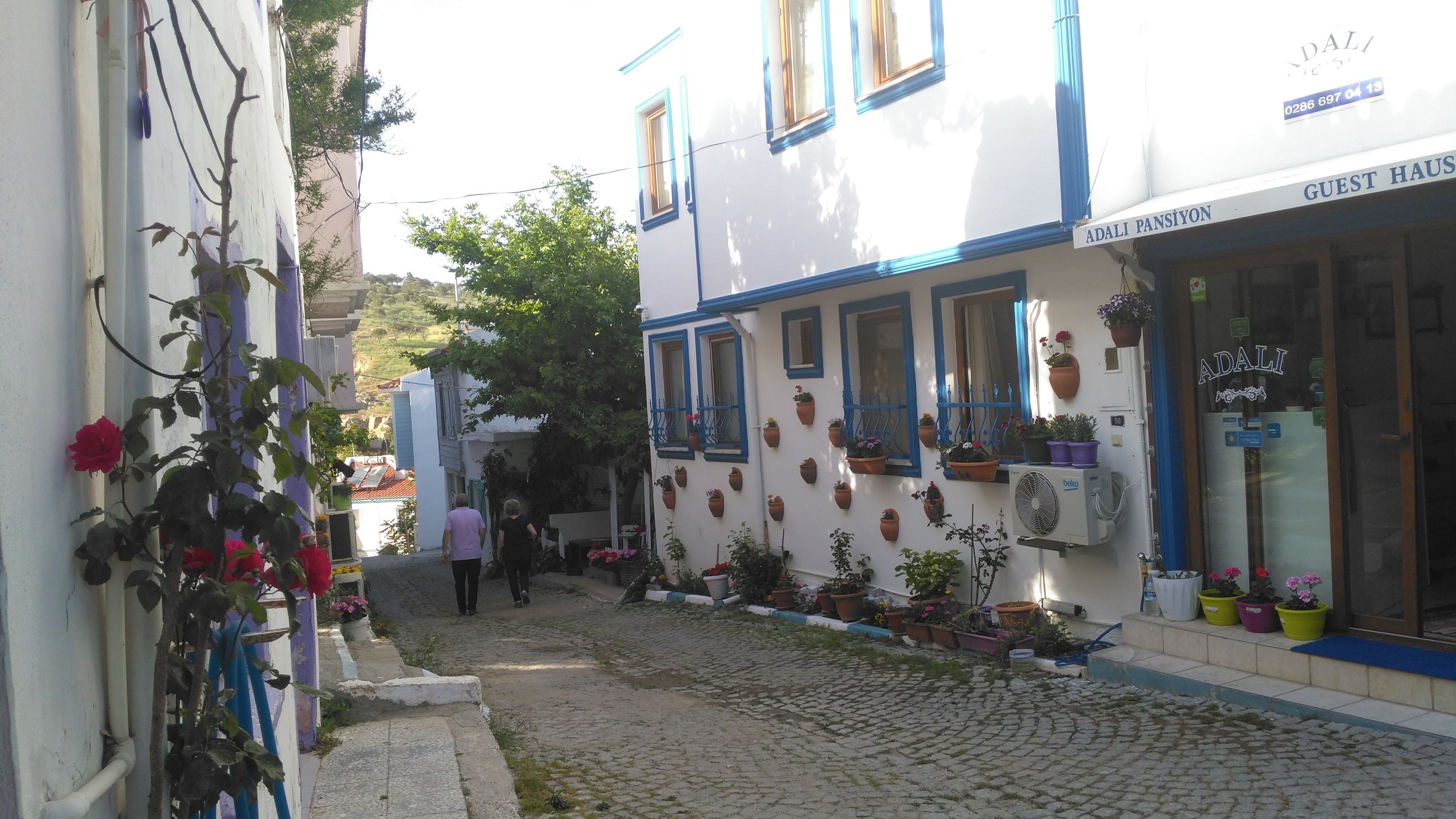 Una estrecha calle adoquinada flanqueada por edificios, algunos adornados con macetas y flores.