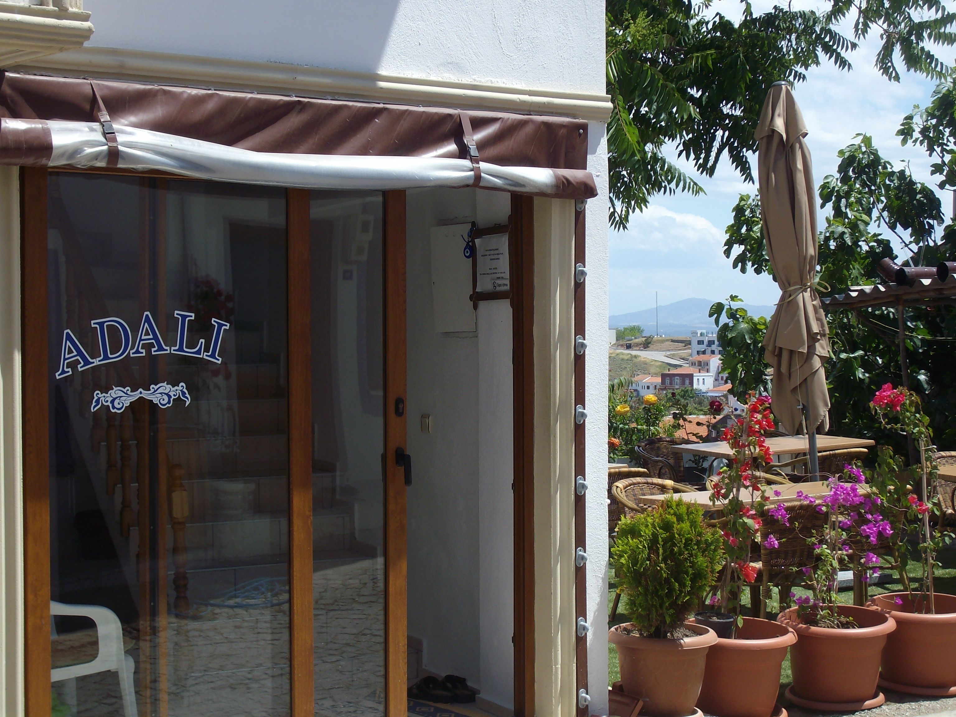 A storefront with a sign reading "ADALI" and a view of a patio area with potted plants and outdoor furniture.
