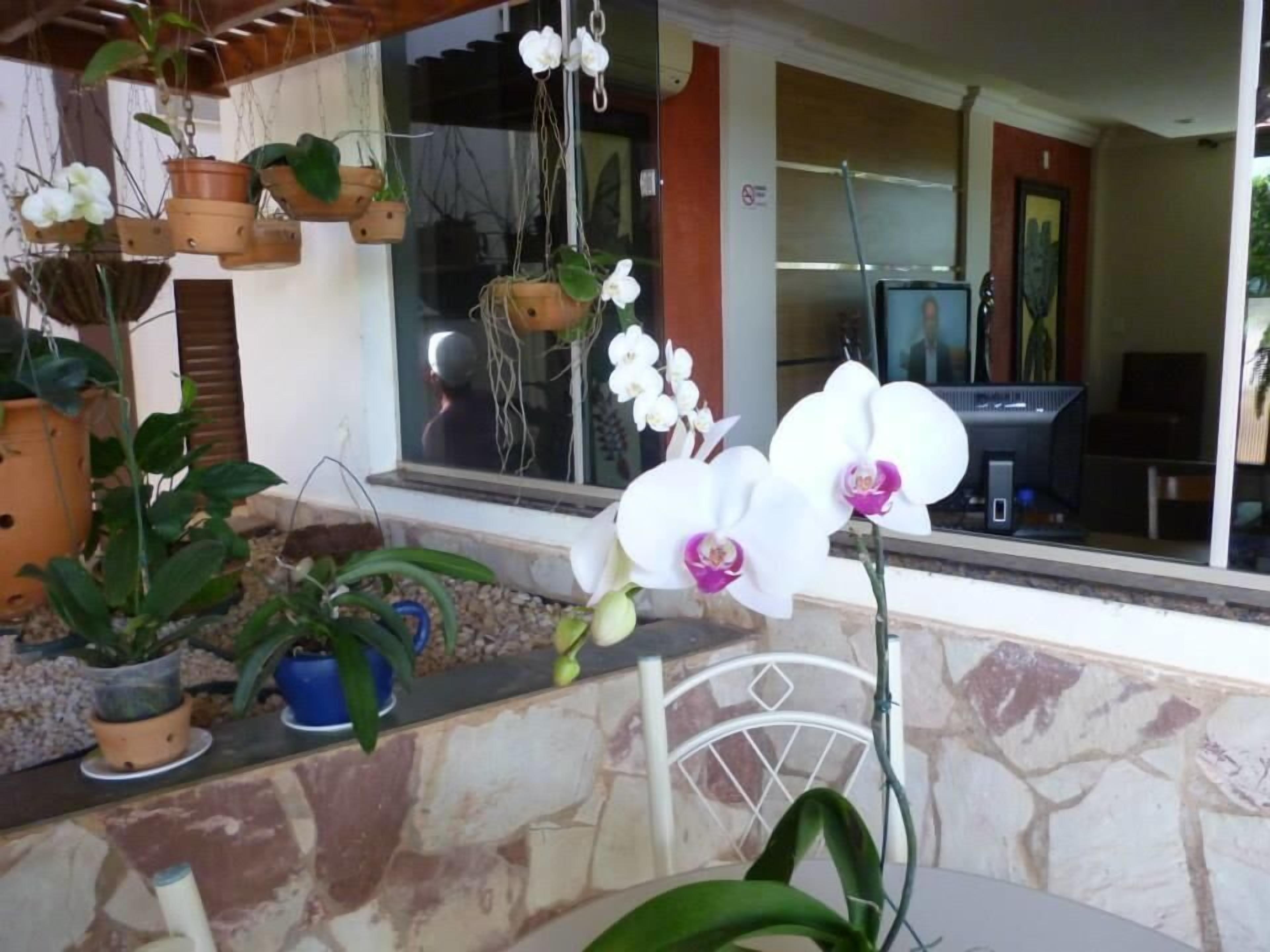 Comodidades da propriedade