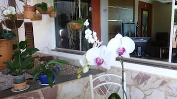 Comodidades da propriedade