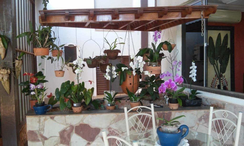 A balcony with various potted plants and a wooden pergola.