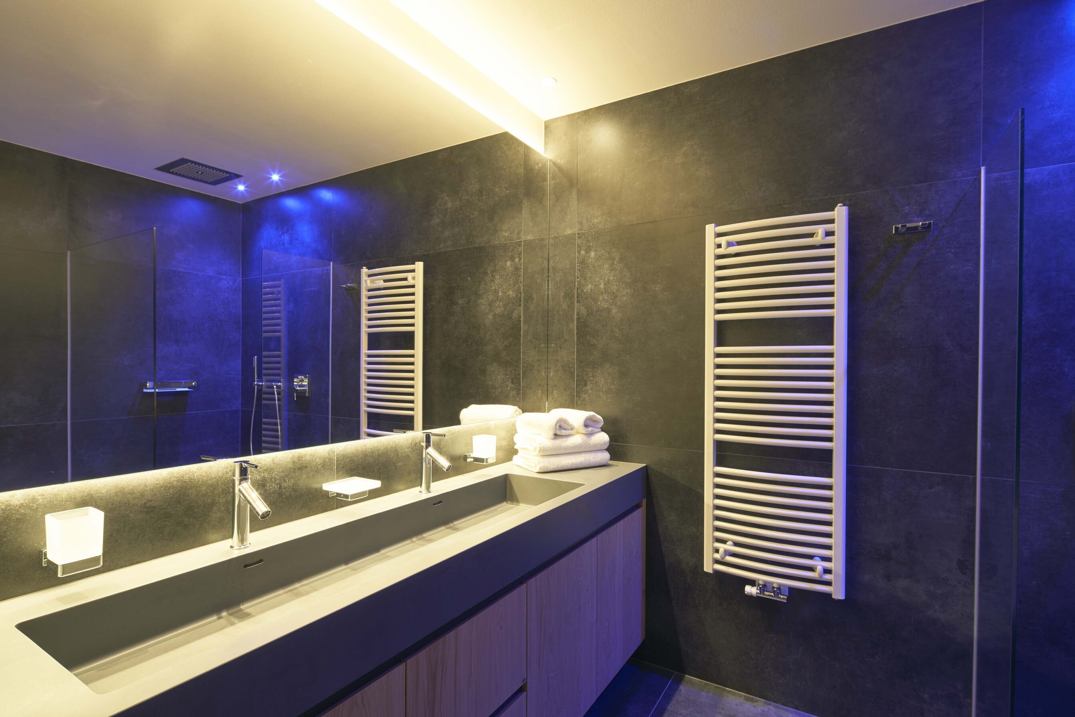 Une salle de bain moderne avec un grand lavabo, deux porte-serviettes et un miroir.