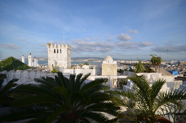 A coastal cityscape with a prominent tower and dome structure, surrounded by palm trees and a clear sky.
