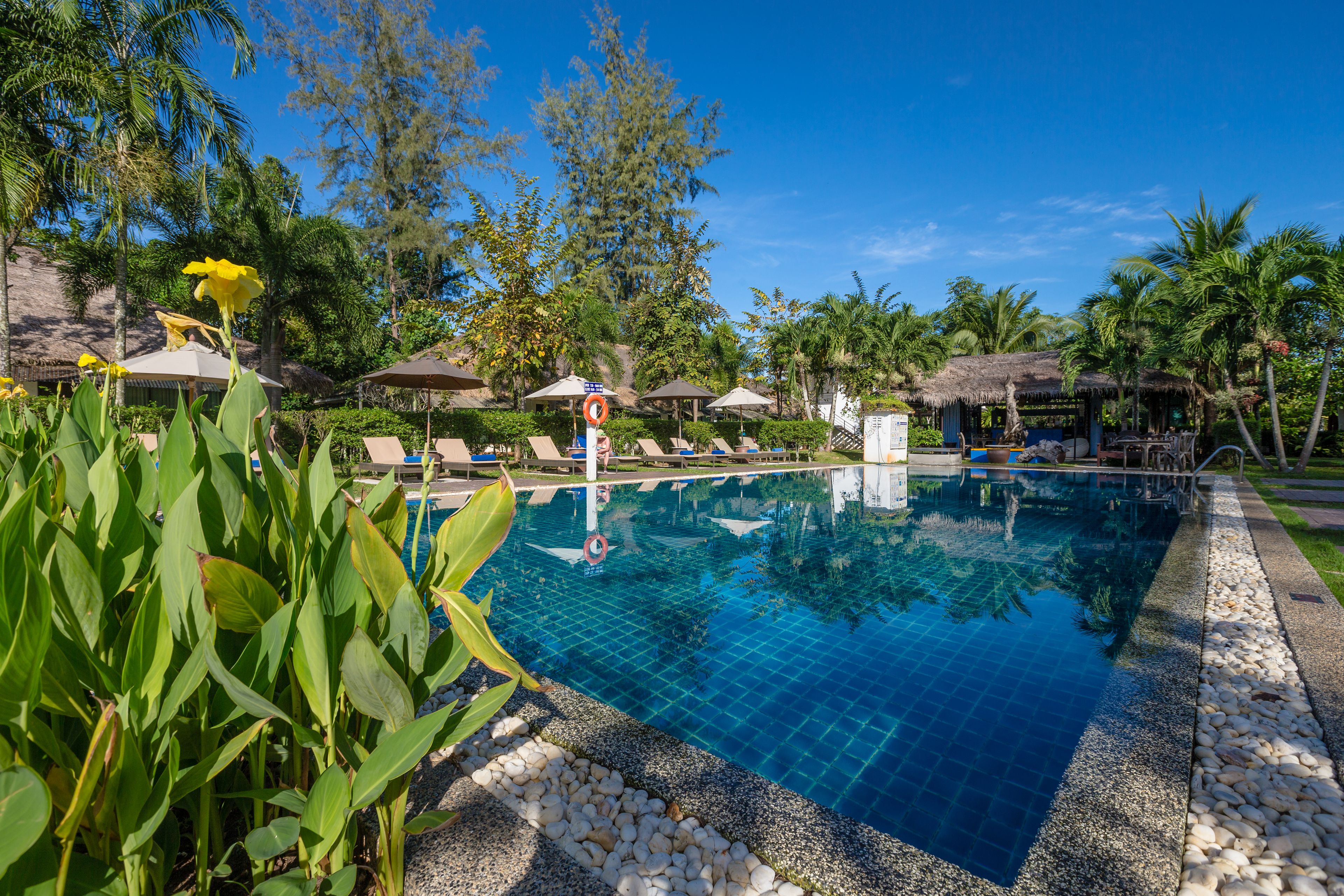 Une piscine d’un bleu éclatant, entourée de chaises longues et de parasols, avec des plantes tropicales et une structure à toit de chaume en arrière-plan.