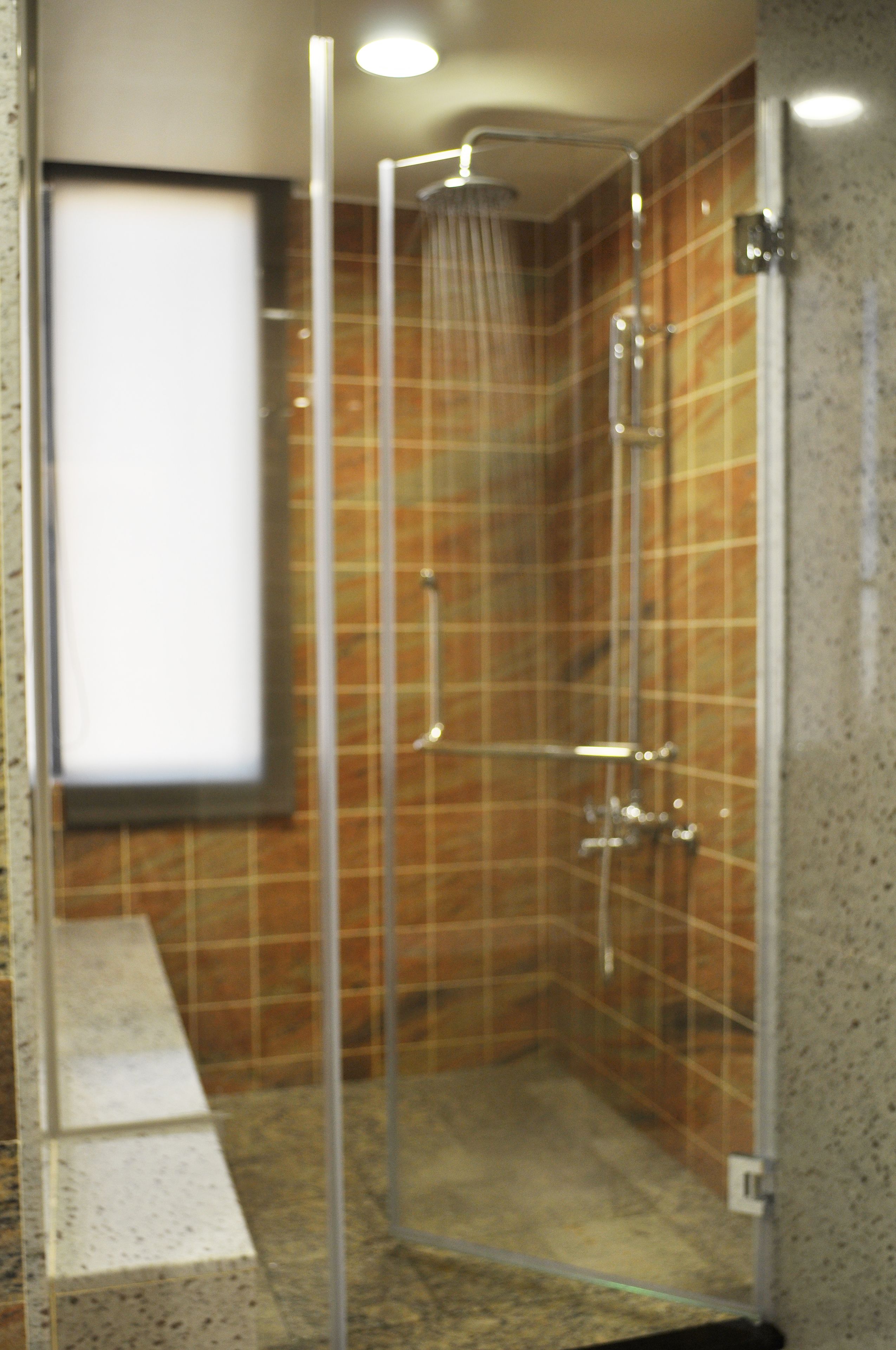 shower, free toiletries, hair dryer, slippers