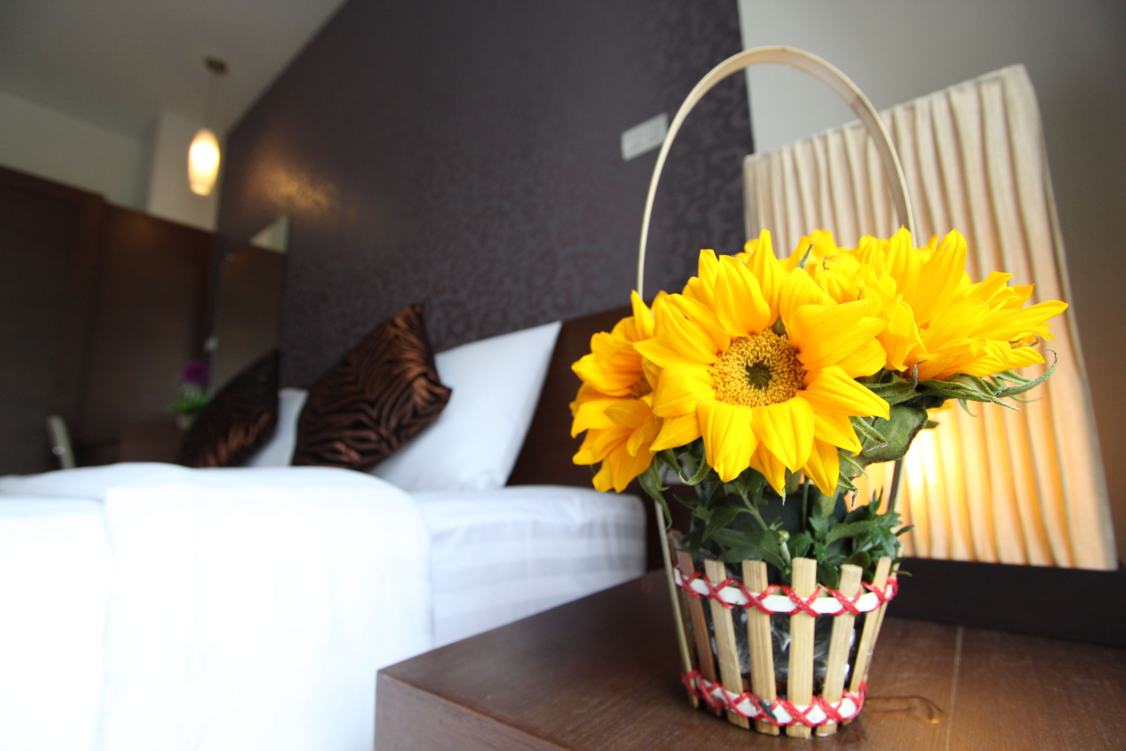 studio suite, 1 double bed | 1 bedroom, soundproofing, free wifi, bed sheets