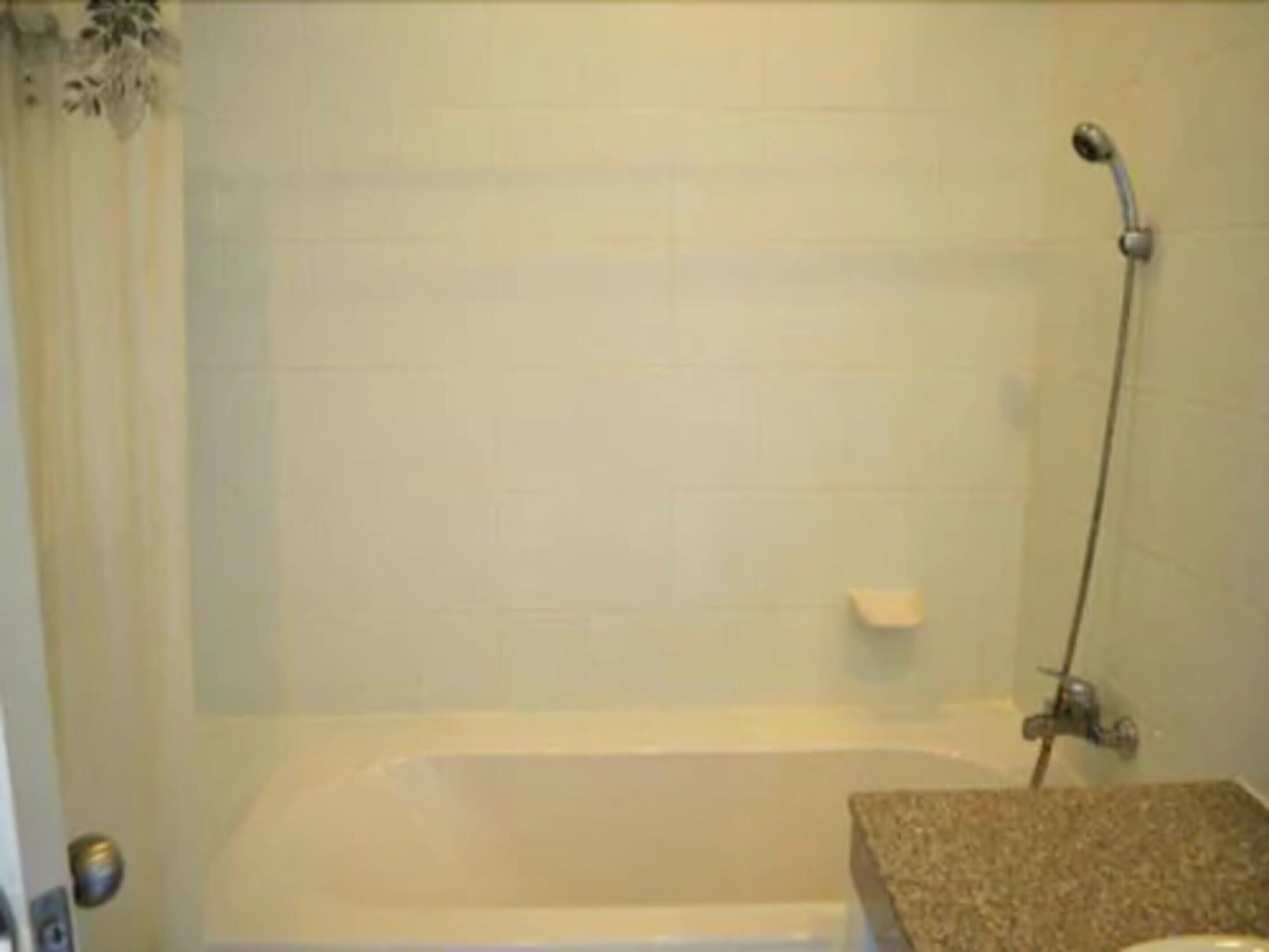 combined shower/bathtub, free toiletries, hair dryer, bidet