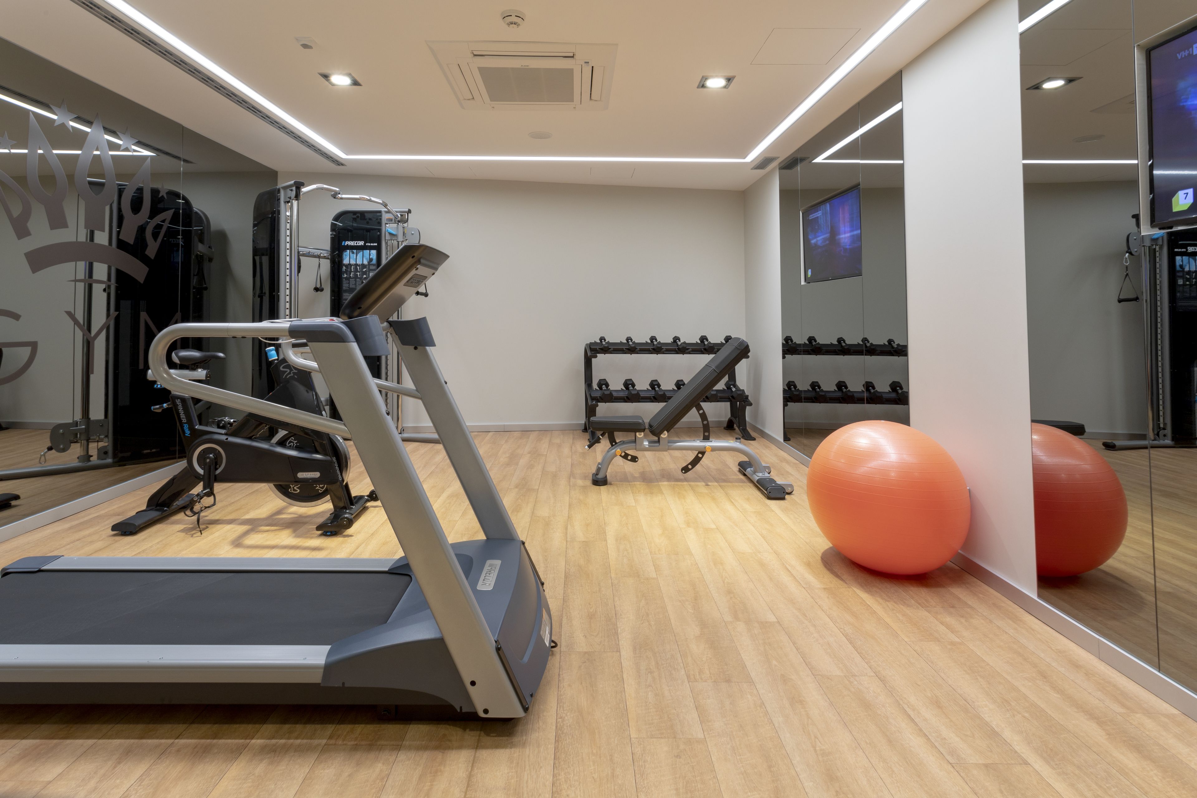 A gym with a treadmill, weight machines, and exercise balls.