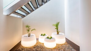 Un interior moderno con techo inclinado, piso de madera y cuatro macetas iluminadas con plantas pequeñas.