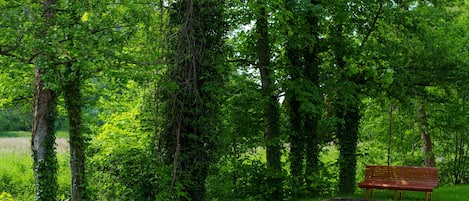 庭園