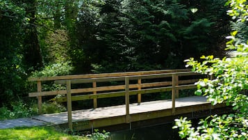Taman