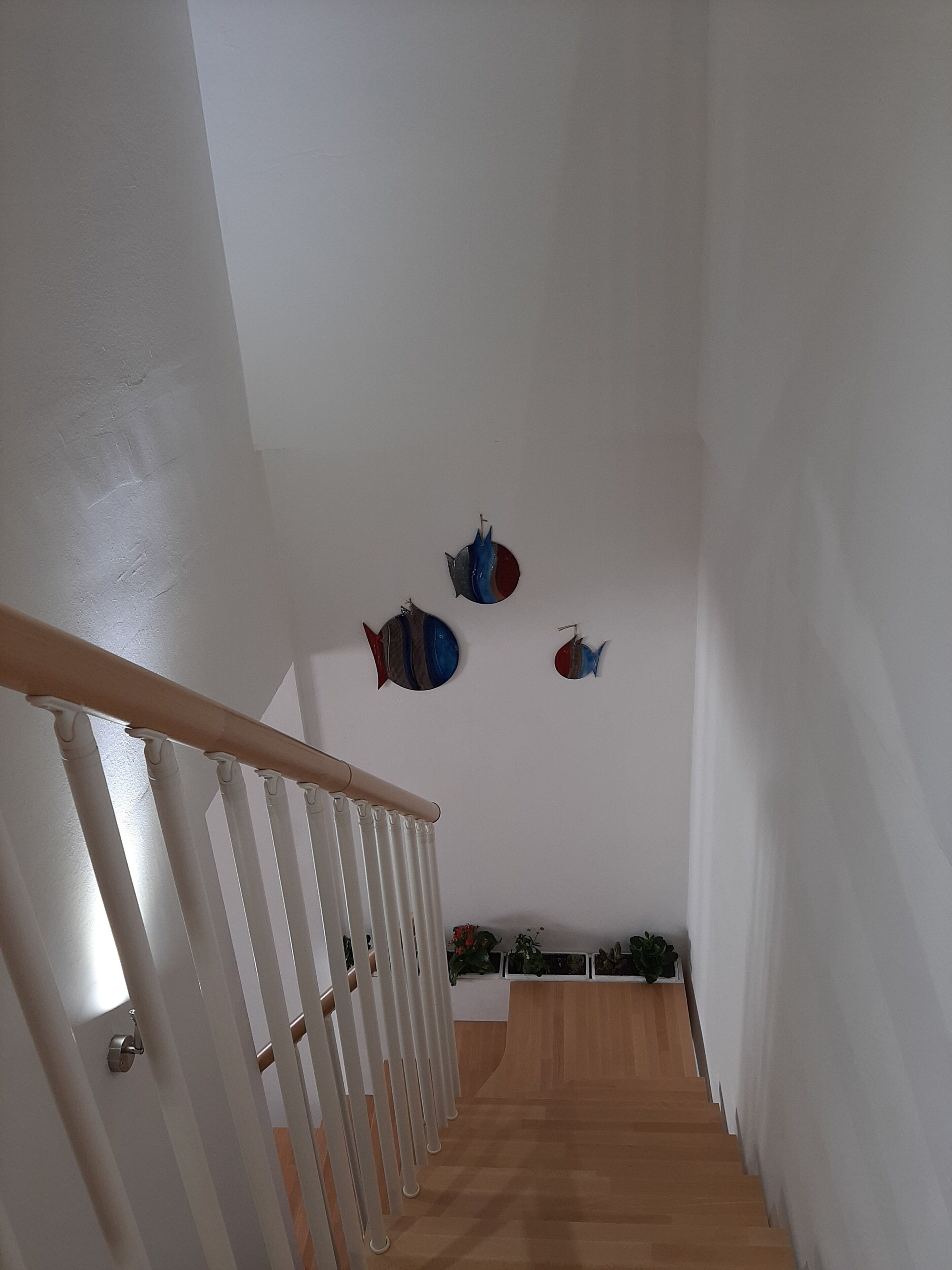 Photo - Cuscino e Cappuccino B&B