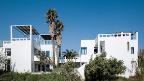 Un bâtiment moderne, de couleur blanche, doté de balcons et orné d’un palmier à l’avant.