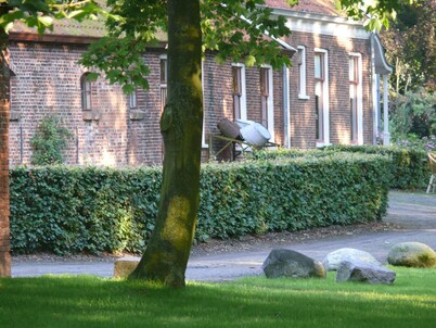 Graanzicht B&B Apartments