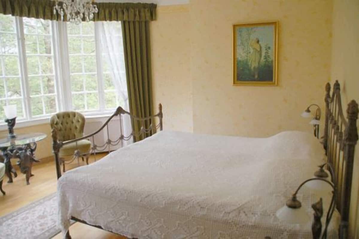 standard double room, private bathroom | desk, iron/ironing board, free wifi