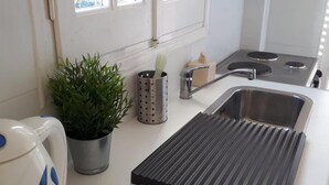 A kitchen with a stainless steel sink, a potted plant, a kettle, and a metal container. - Asprokavos Beach Apartment (Corfu)