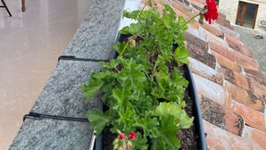 A balcony with potted plants, a wooden chair, and a view of buildings and a swimming pool. - Hotel Berati (Berat)