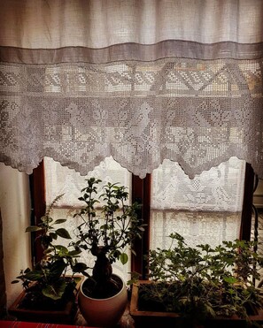 A window with a lace curtain and two potted plants. - Hotel Berati (Berat)