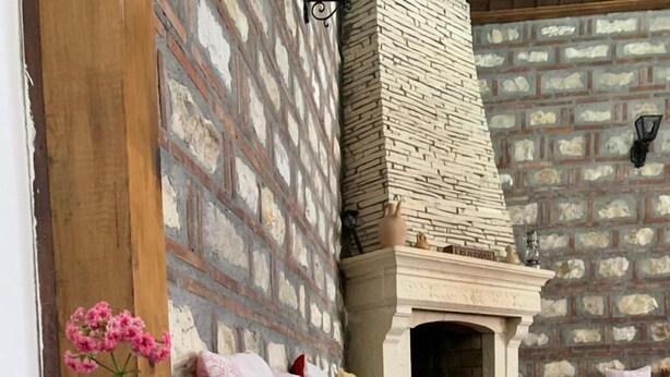 A cozy room with a fireplace, a large potted plant, and a fur throw on the floor. - Hotel Berati (Berat)
