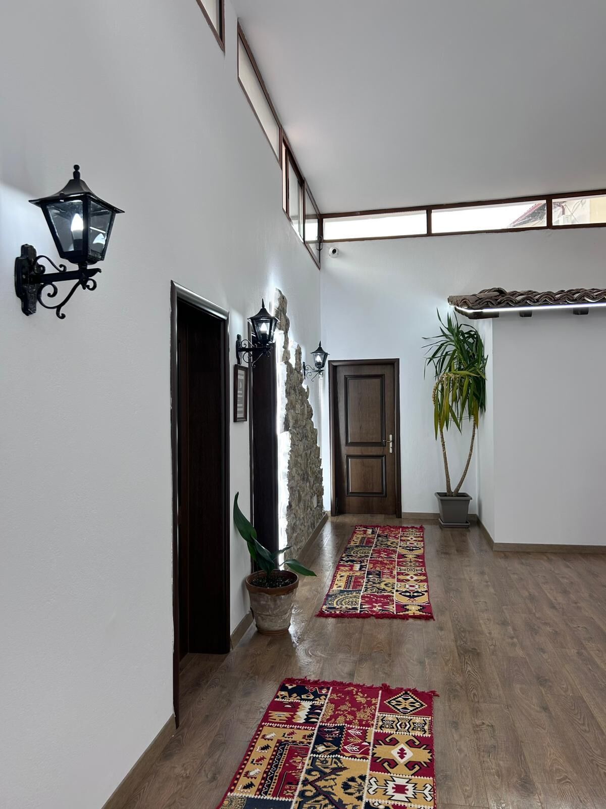 A hallway with a wooden floor, a patterned rug, a potted plant, and a wall-mounted light fixture.