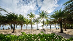 A beach with palm trees and a clear sky.