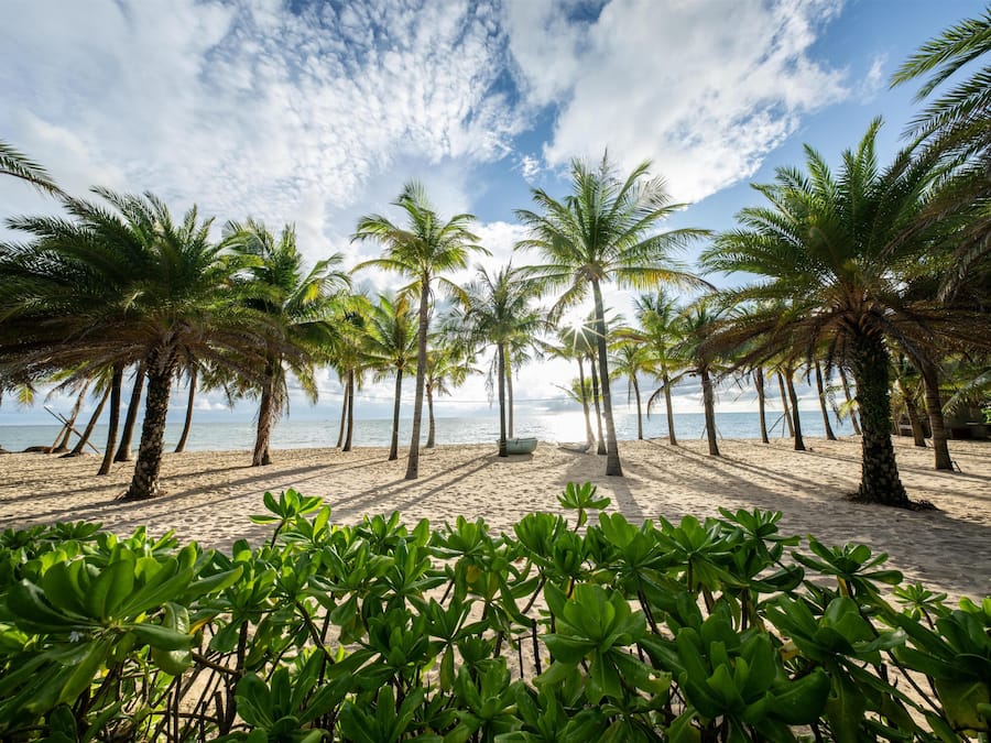 Rannalla, aurinkotuoleja, aurinkovarjoja, rantapyyhkeitä