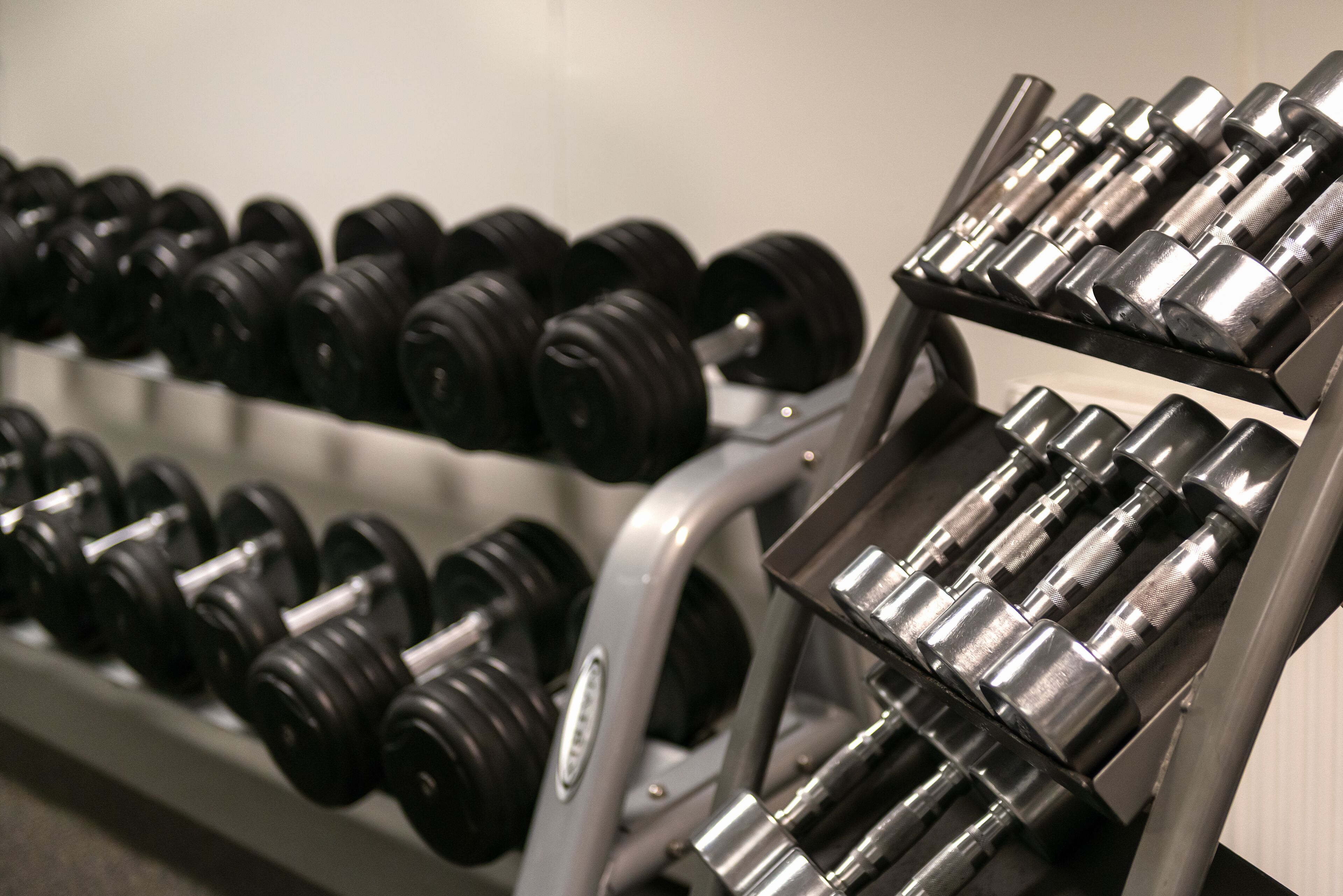 Un estante con mancuernas en un gimnasio.