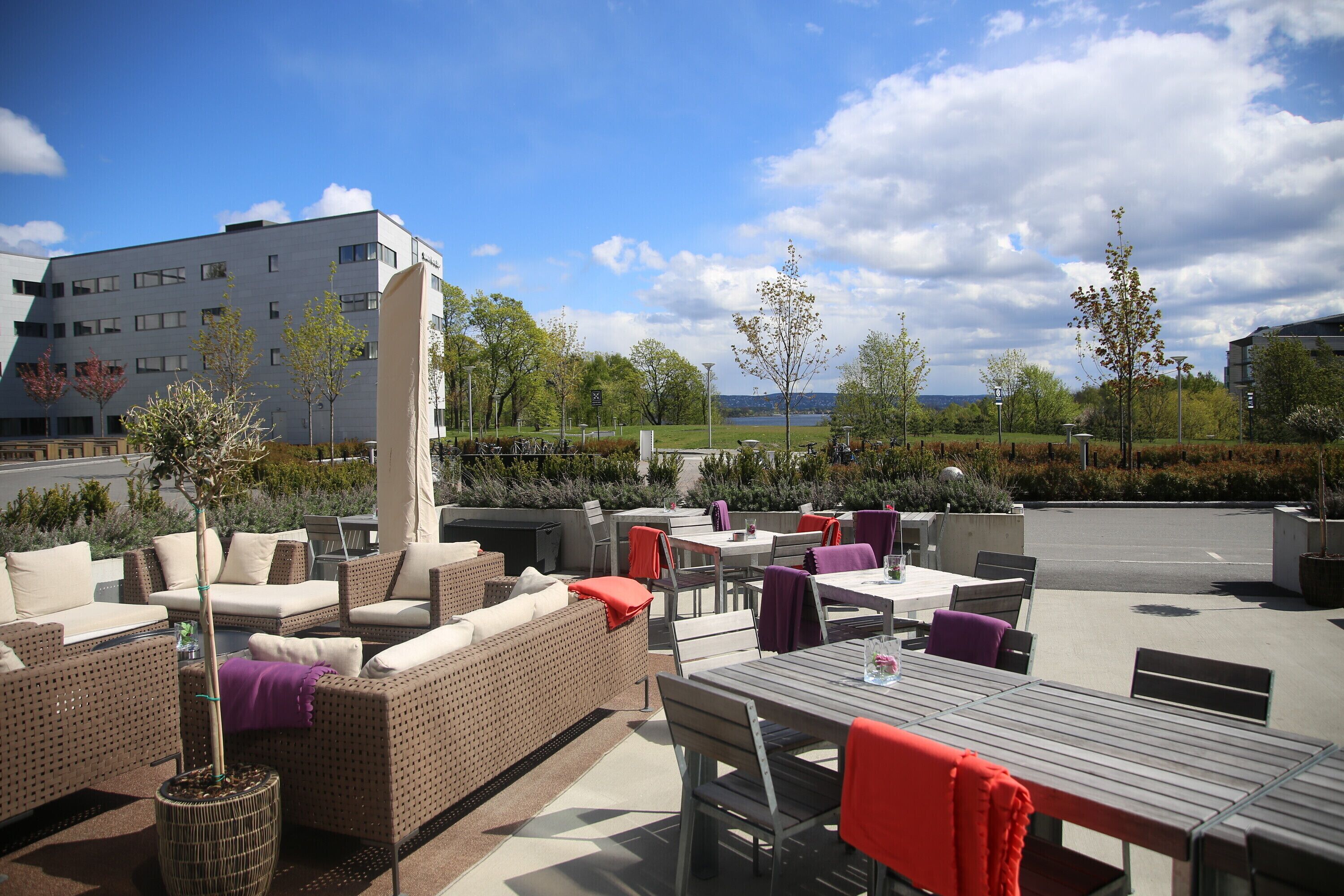 Middag serveres, internasjonale retter, utsikt mot hagen 