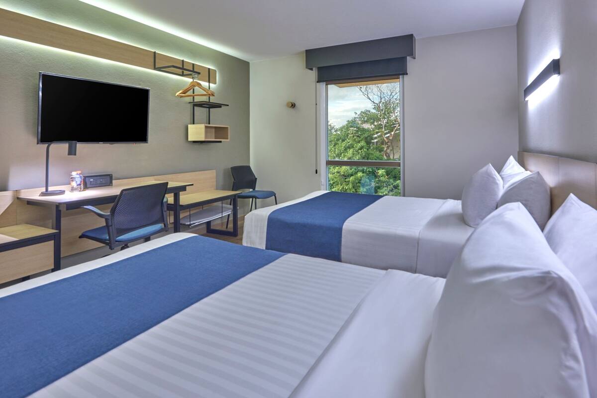 Habitación de hotel con dos camas, un escritorio, una silla, un televisor y una ventana con vistas a zonas verdes.
