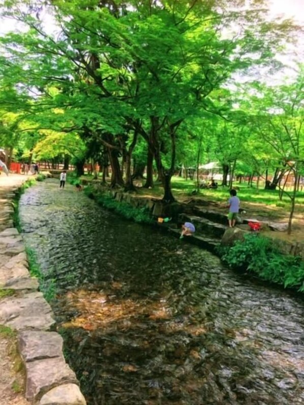 Un camí empedrat al costat d'una zona aquàtica serena, amb arbres a sobre.