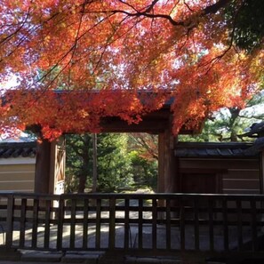En traditionel japansk bygning med et trætag og et plankeværk foran.