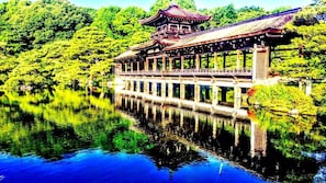 En traditionel japansk bygning med et flerstået tag, omgivet af frodig vegetation og spejlet i stille vand.