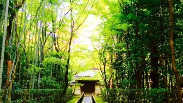 Un chemin de pierre bordé de rambardes en bambou mène à un bâtiment traditionnel.