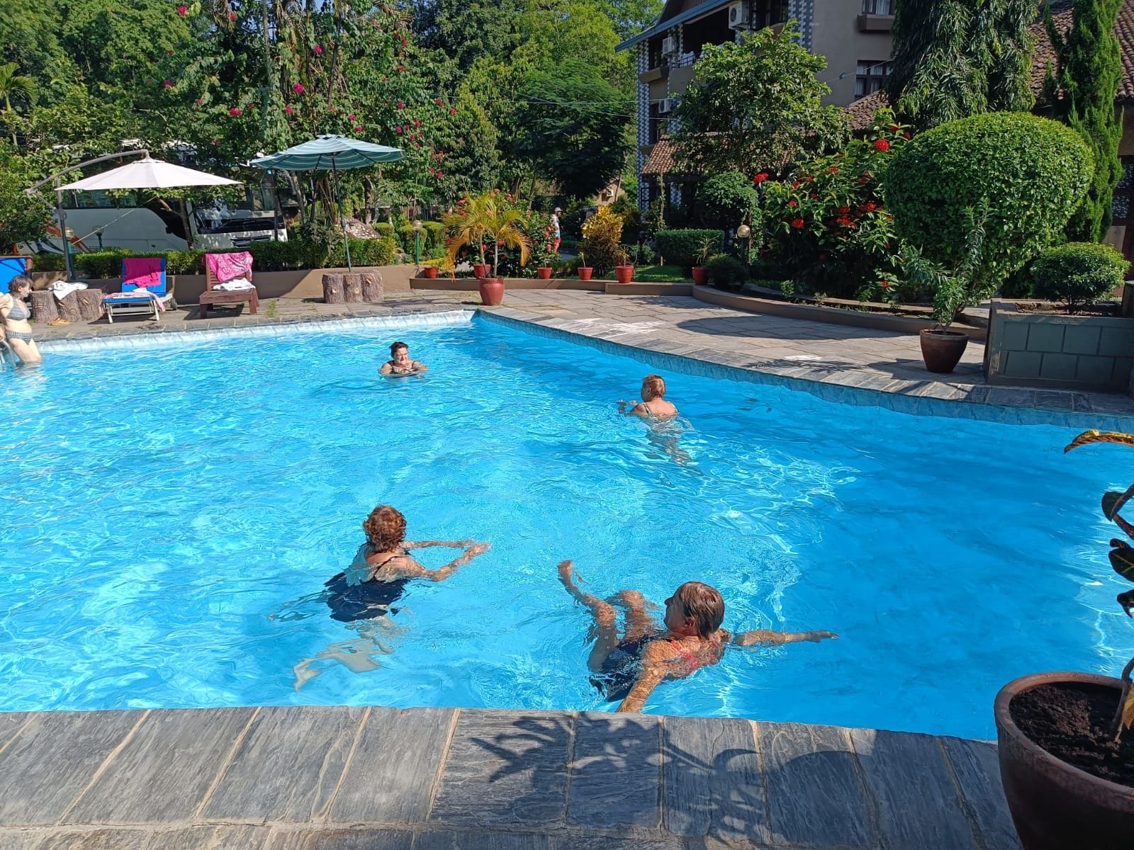 A swimming pool with clear blue water, surrounded by potted plants and trees.
