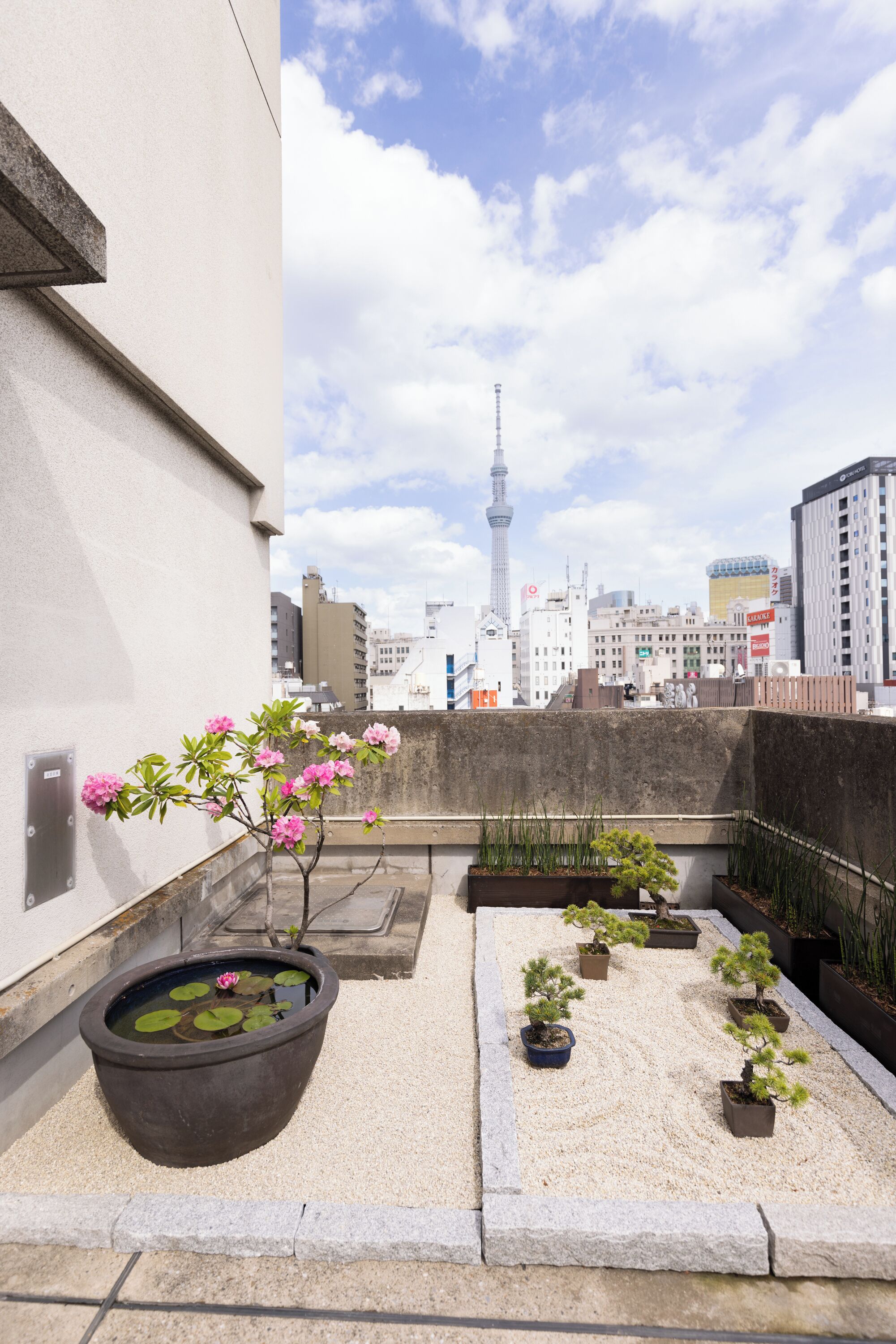 A rooftop garden with potted plants and a view of a city skyline including a tower.