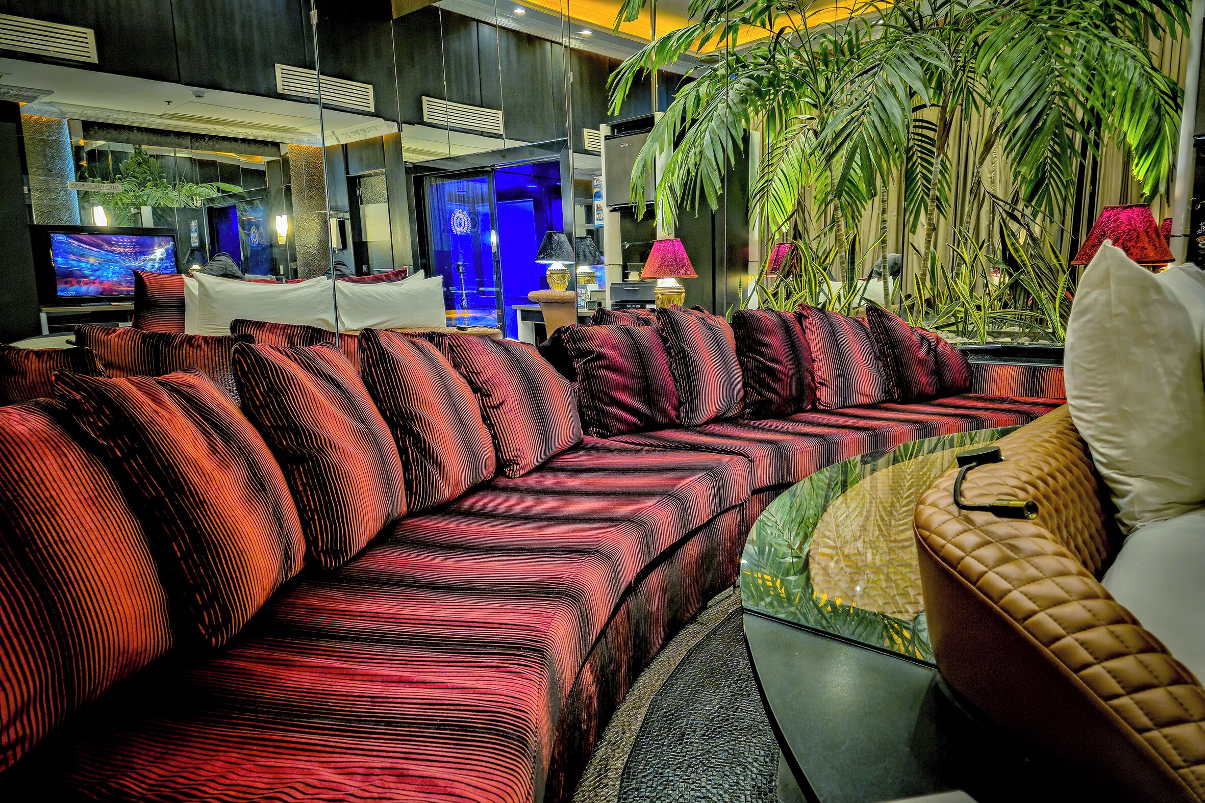 A modern hotel lobby with a large, curved sofa, a television, and a large plant.