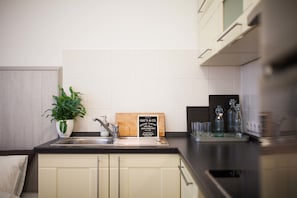 Full-sized fridge, microwave, oven, stovetop