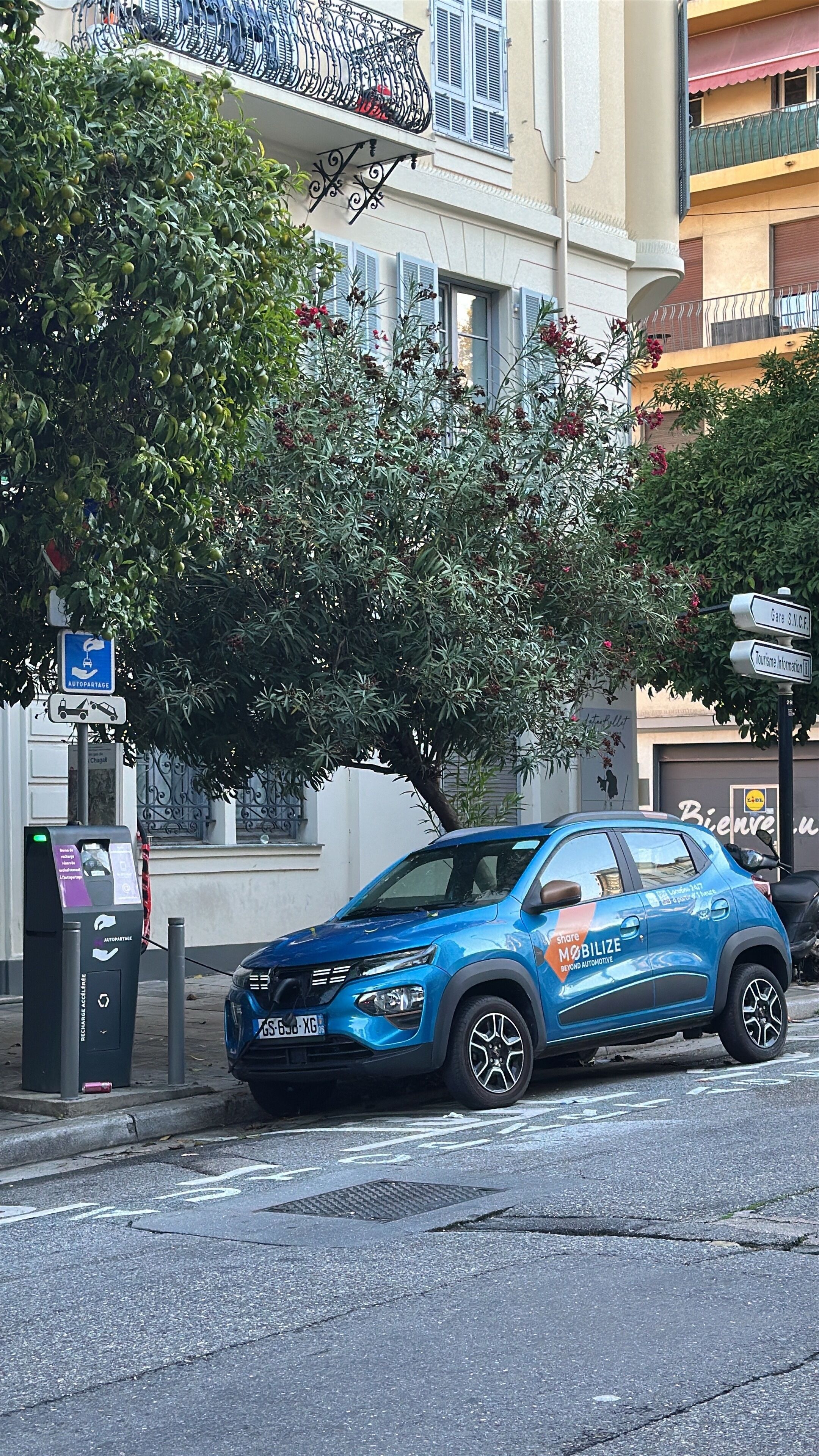 Foto - altea Freedom