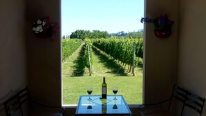 Una habitación con un ventanal grande con vistas a un viñedo, dos sillas, una mesa con una botella y copas, y un aplique colgante.