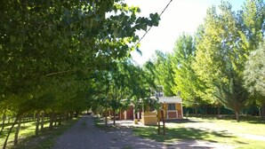 A pathway lined with trees leading to a building with a brick facade and a small porch. - Cabañas Uspallata (Uspallata)