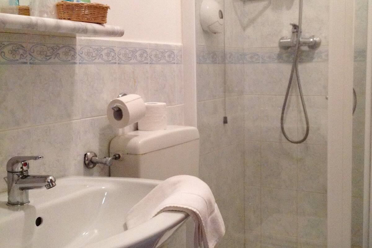 business single room | bathroom | shower, designer toiletries, hair dryer, bidet