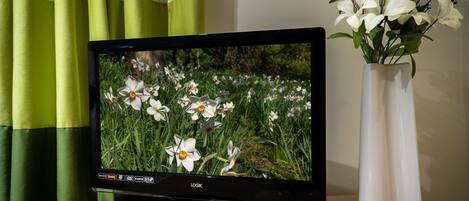 A television on a wooden stand, a white vase with flowers, and green curtains.