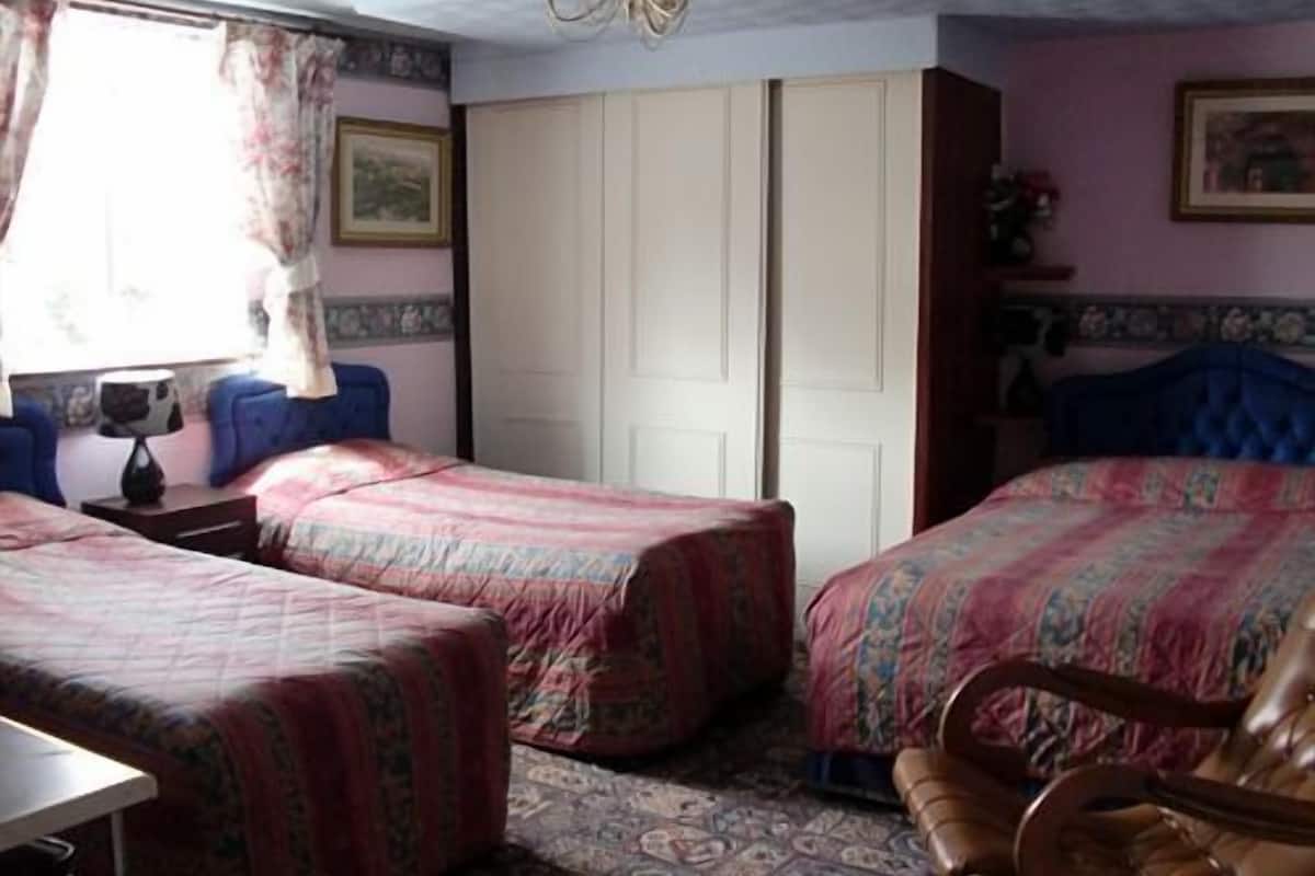 Matelas mémoire de forme, fer et planche à repasser