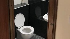 A small, narrow bathroom with a white toilet, a black sink, and a mirror above the sink. - Balloan House (Muir of Ord)