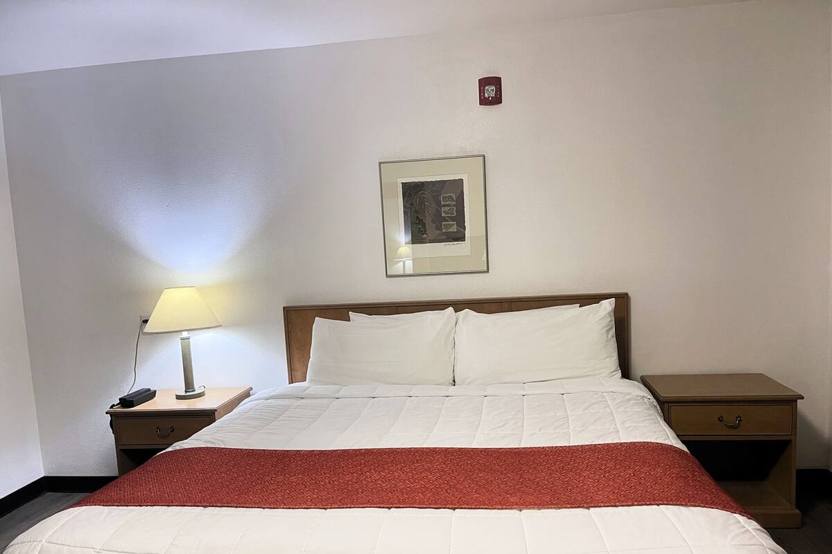 A hotel room with a bed, a nightstand, a lamp, and a framed picture on the wall.