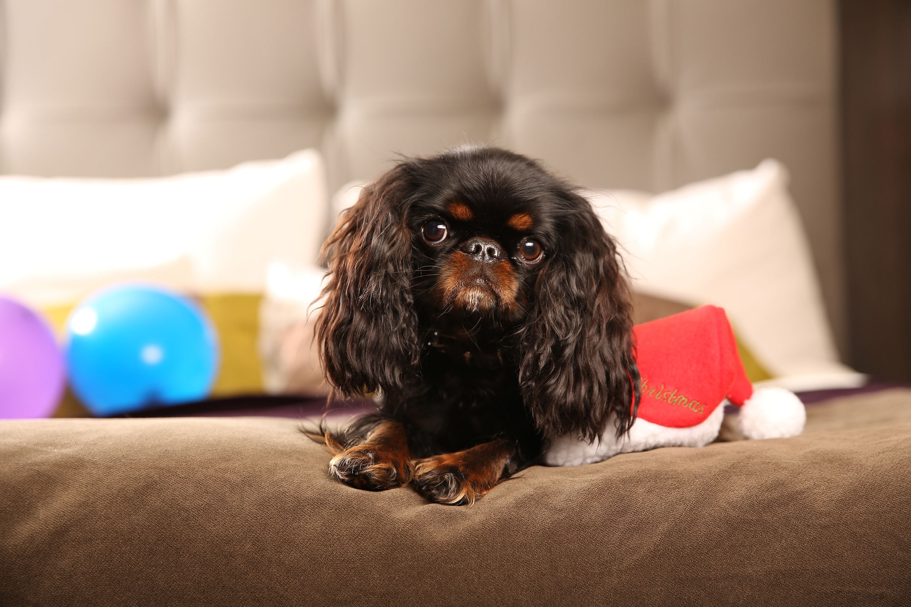 Foto - Clarion Hotel Post